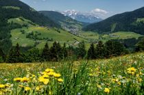 Das sanfte und weite Tal der Wildschönau, hier mit Blick auf Oberau im Hintergrund.  • © Wildschönau Tourismus, Hermann Schmid